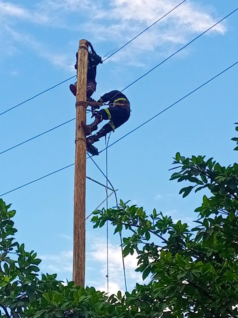 Electrical & Energy Services